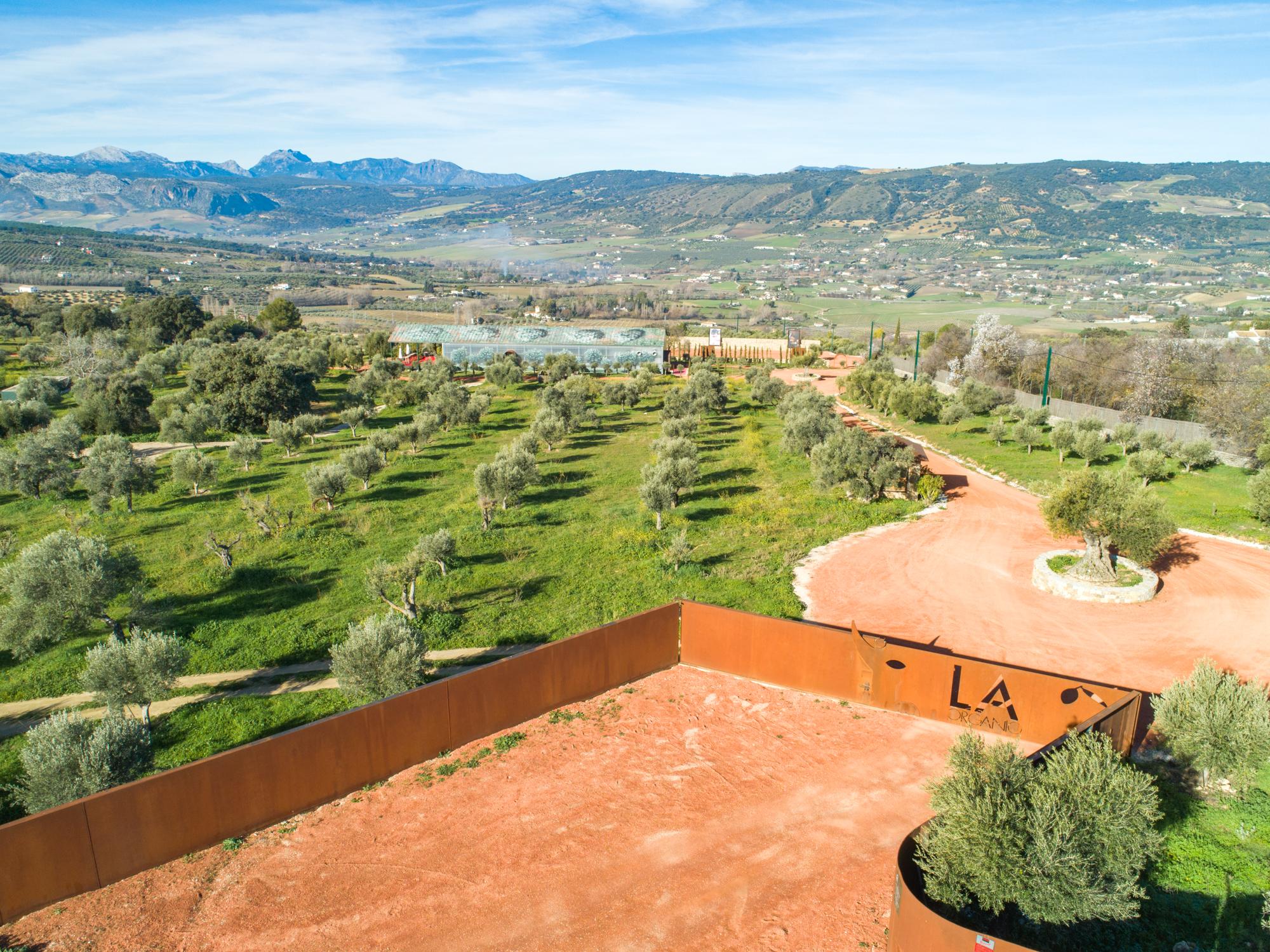 Cortijo La Organic Hotel Ronda Kültér fotó