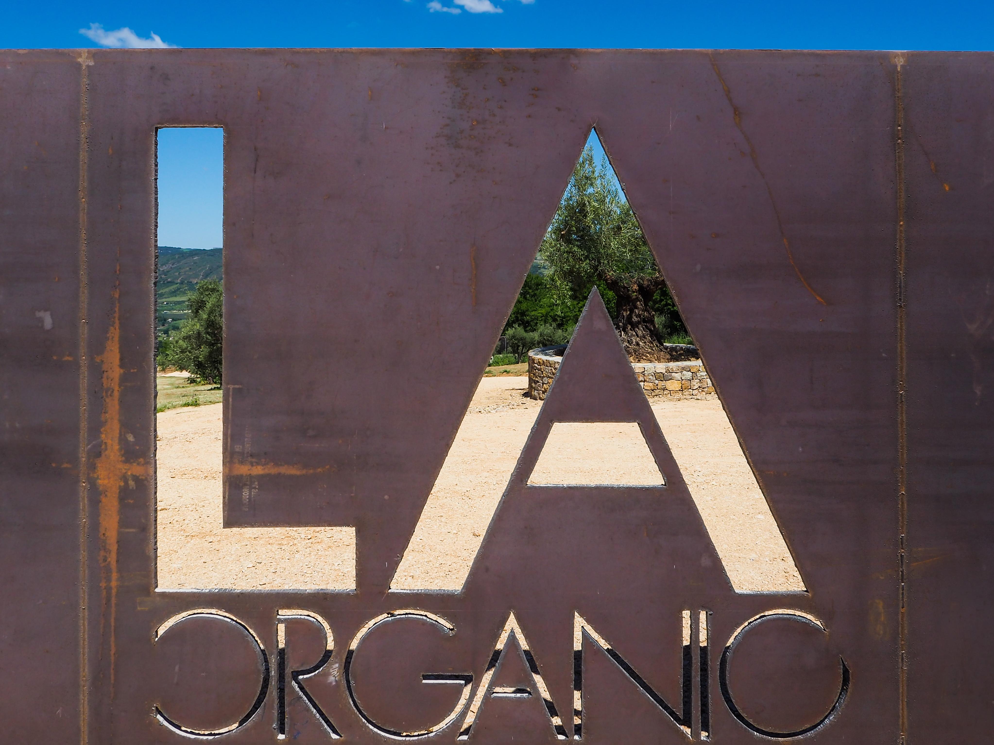 Cortijo La Organic Hotel Ronda Kültér fotó