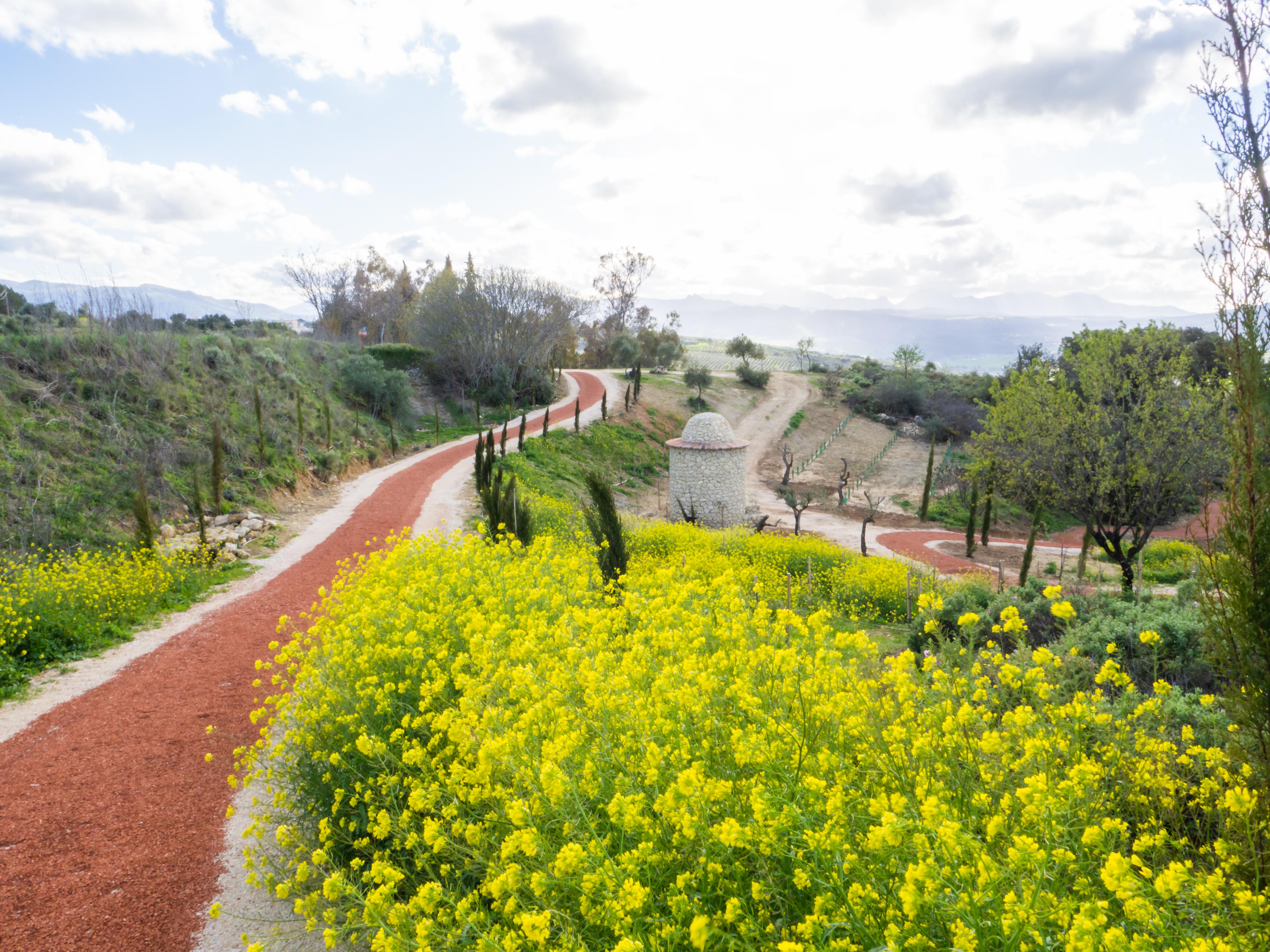 Cortijo La Organic Hotel Ronda Kültér fotó