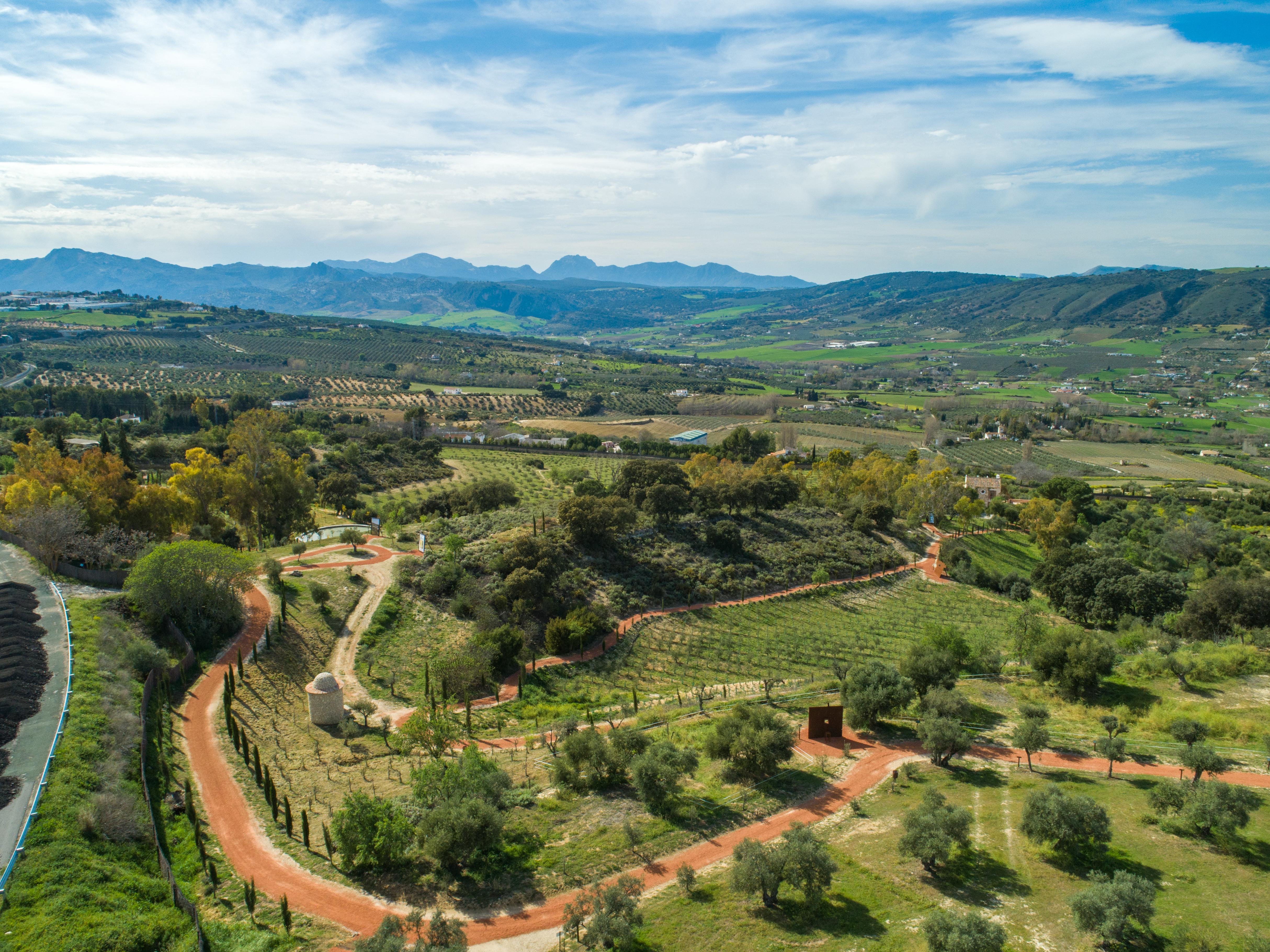 Cortijo La Organic Hotel Ronda Kültér fotó