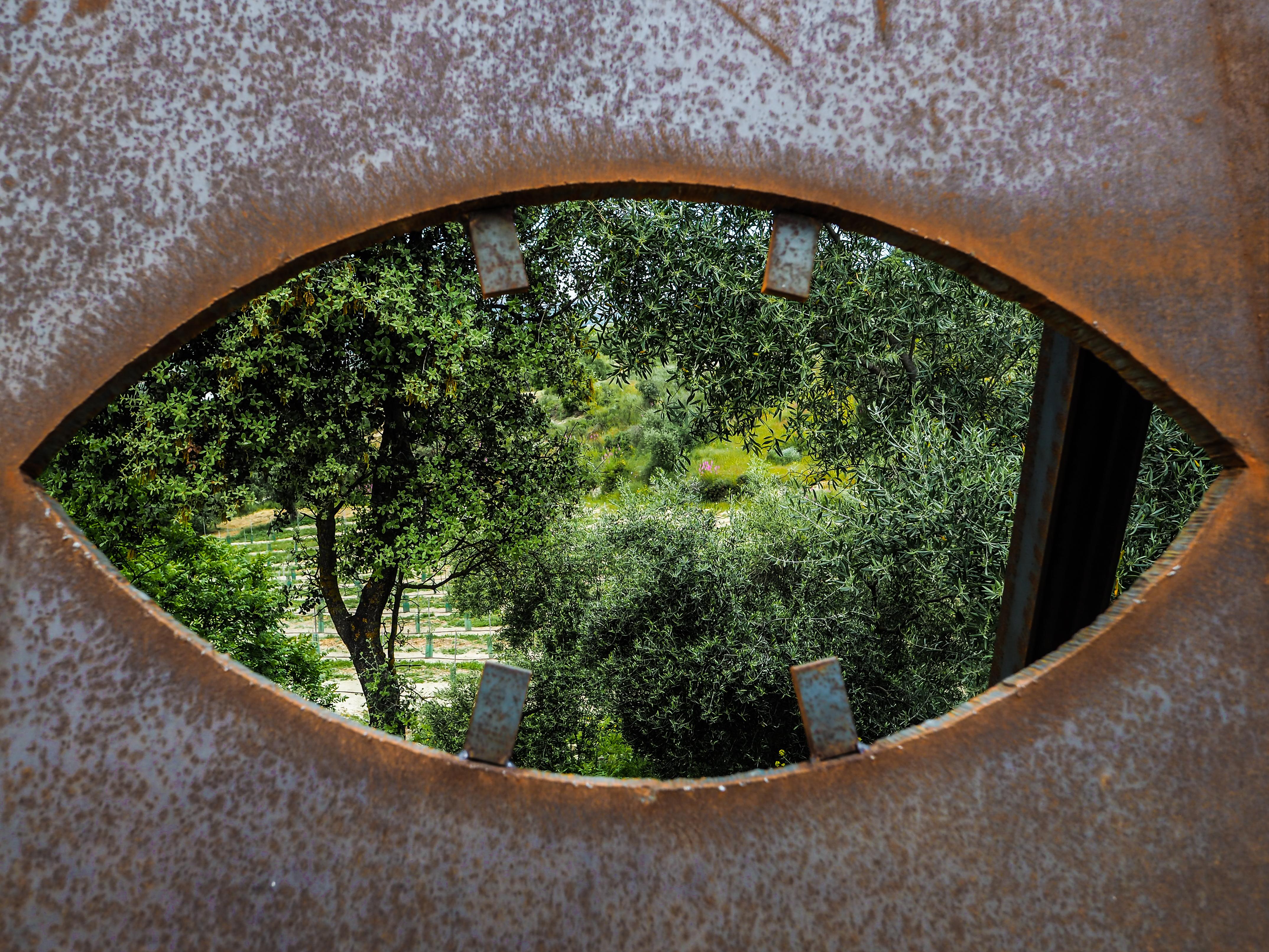 Cortijo La Organic Hotel Ronda Kültér fotó