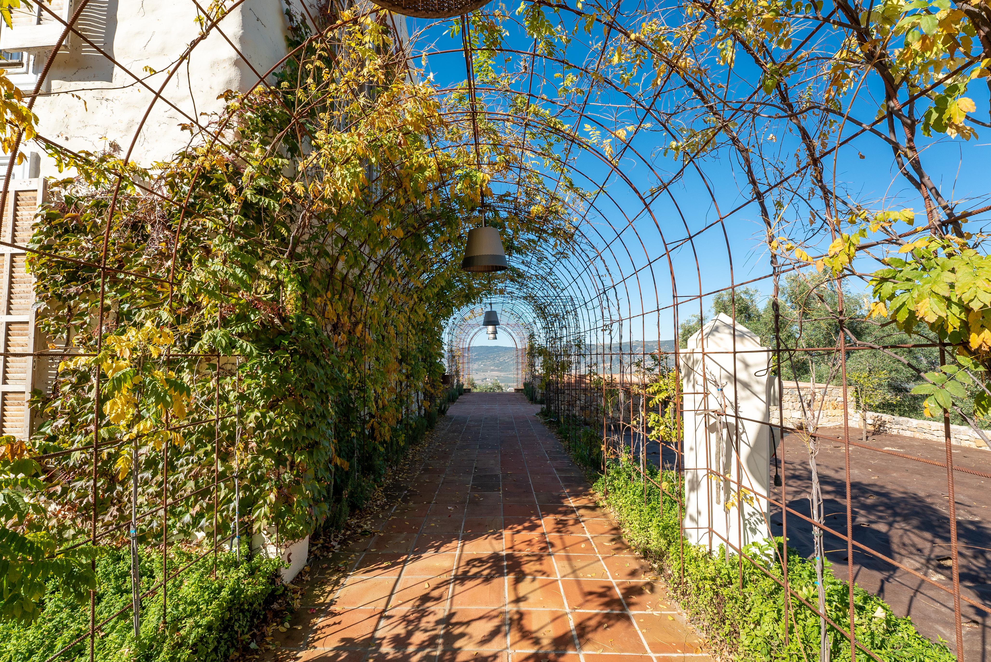 Cortijo La Organic Hotel Ronda Kültér fotó