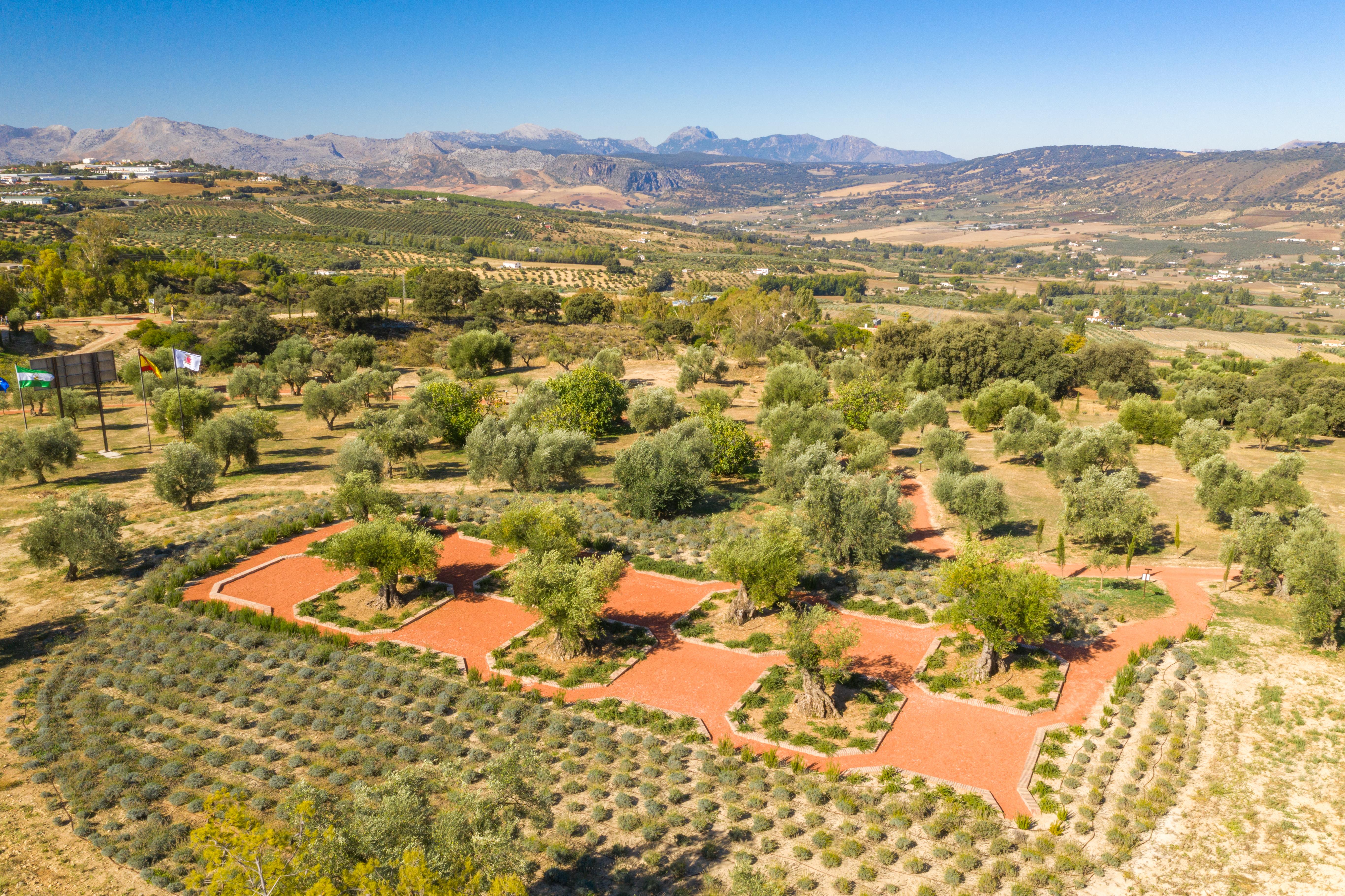 Cortijo La Organic Hotel Ronda Kültér fotó