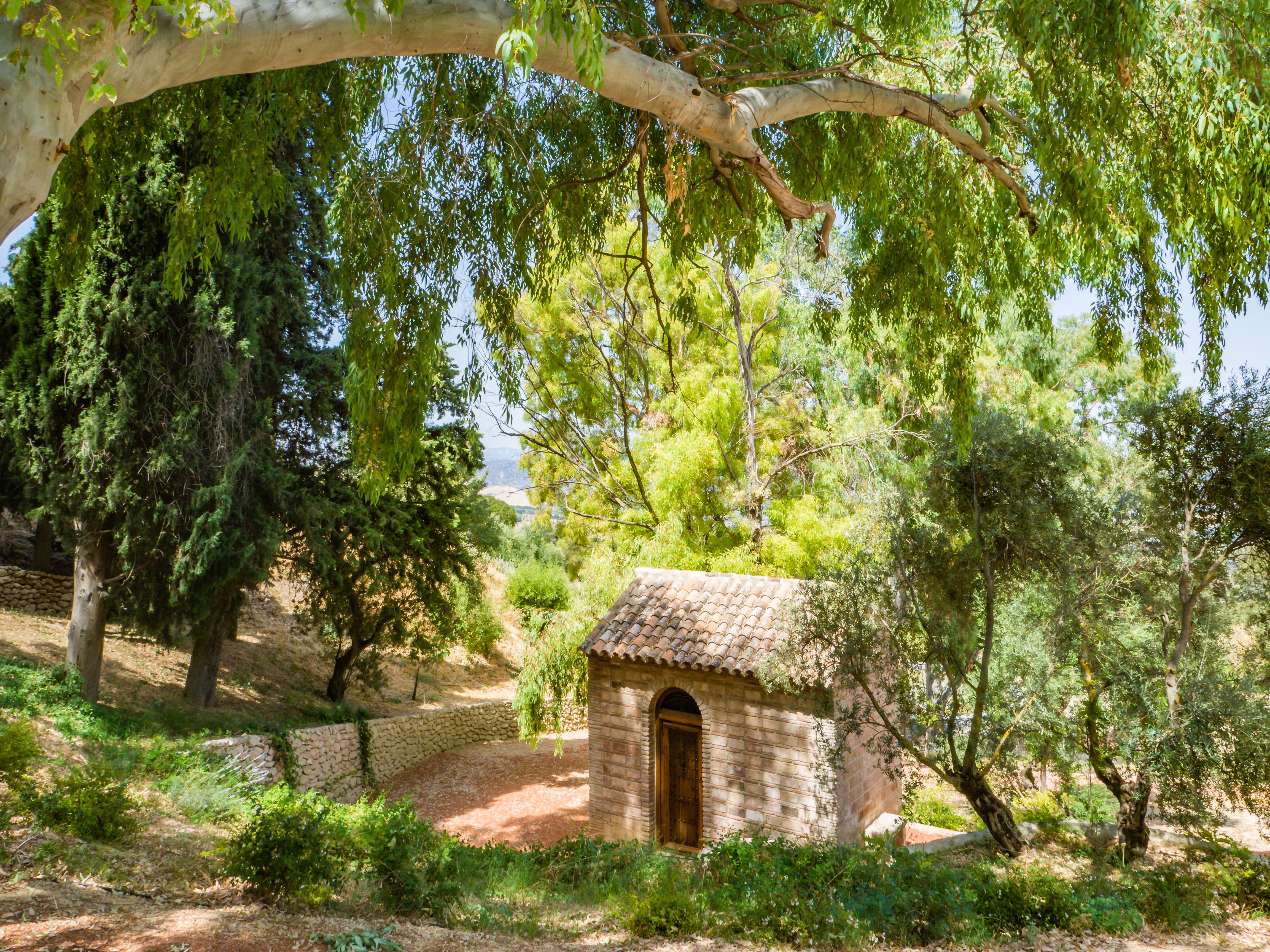 Cortijo La Organic Hotel Ronda Kültér fotó